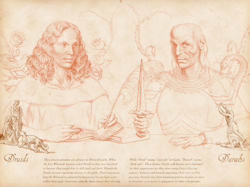 Druids & Darachs spread from the Teen Wolf Bestiary