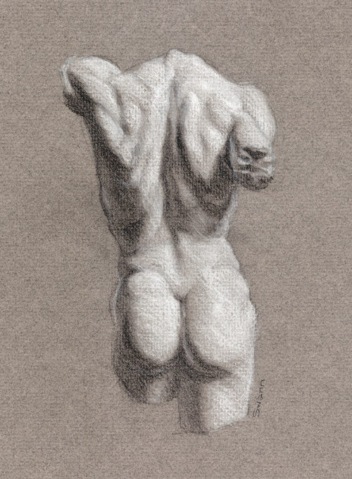 Cast drawing from a Miletus Torso statue