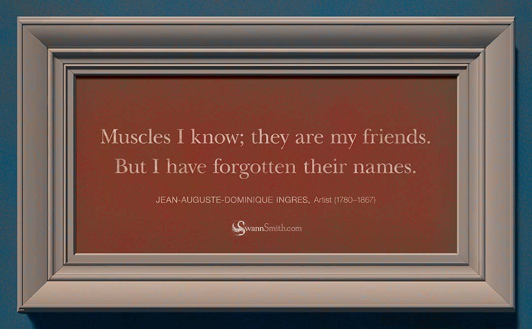 "Muscles I know; they are my friends. But I have forgotten their names." — Jean-Auguste-Dominique Ingres